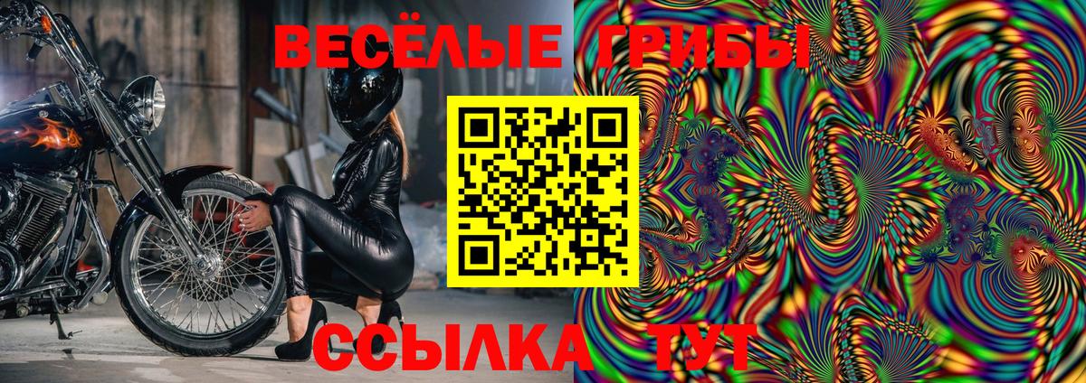 Псилоцибиновые грибы Psilocybe Арсеньев